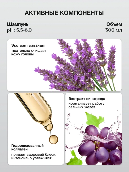 Шампунь и кондиционер для объема волос Tashe Professional, набор для ухода за волосами