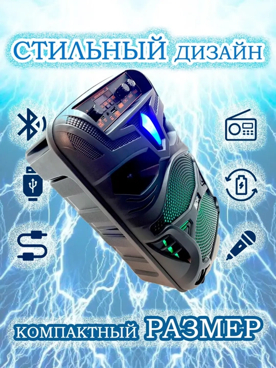 Portativ simsiz kolonka Mikrofon va boshqaruv pulti bilan NDR