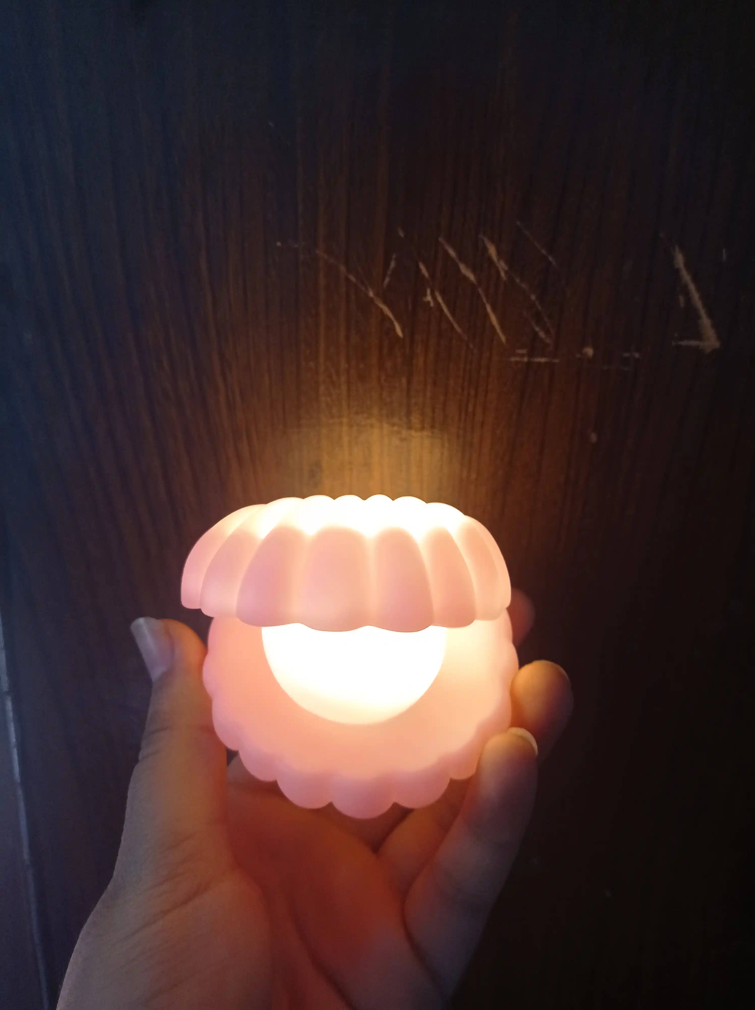 Tungi chiroq simsiz chiroq, quyoncha