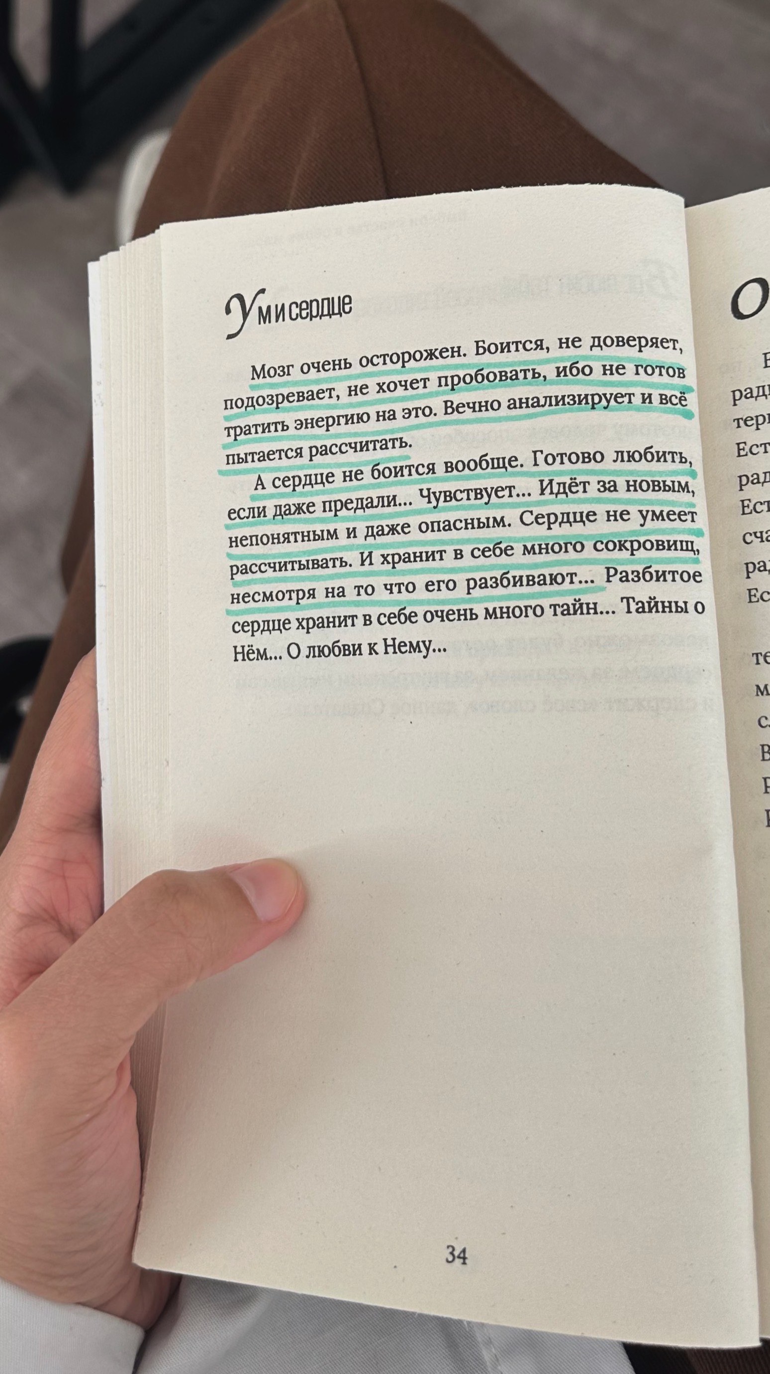 Выбери счастье в обоих мирах. Марзия Бекайдар