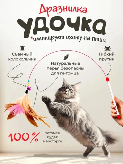 Дразнилка-удочка - игрушка для кошек