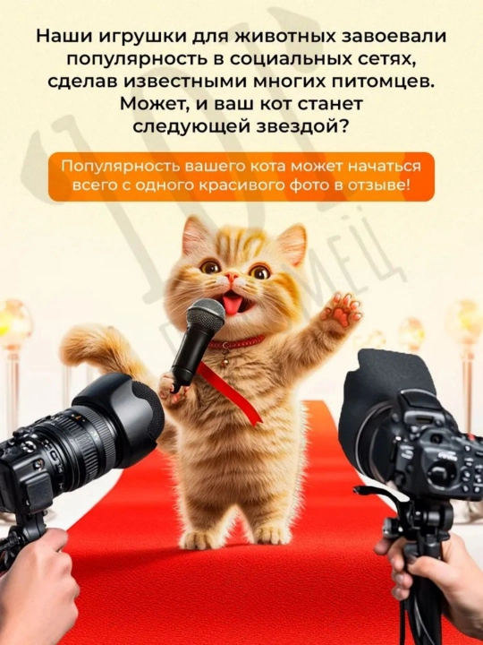 Дразнилка-удочка - игрушка для кошек