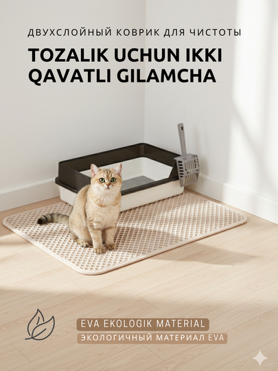 Porno tugilgan kuni kechasi Uy videolarini onlayn tomosha qiling