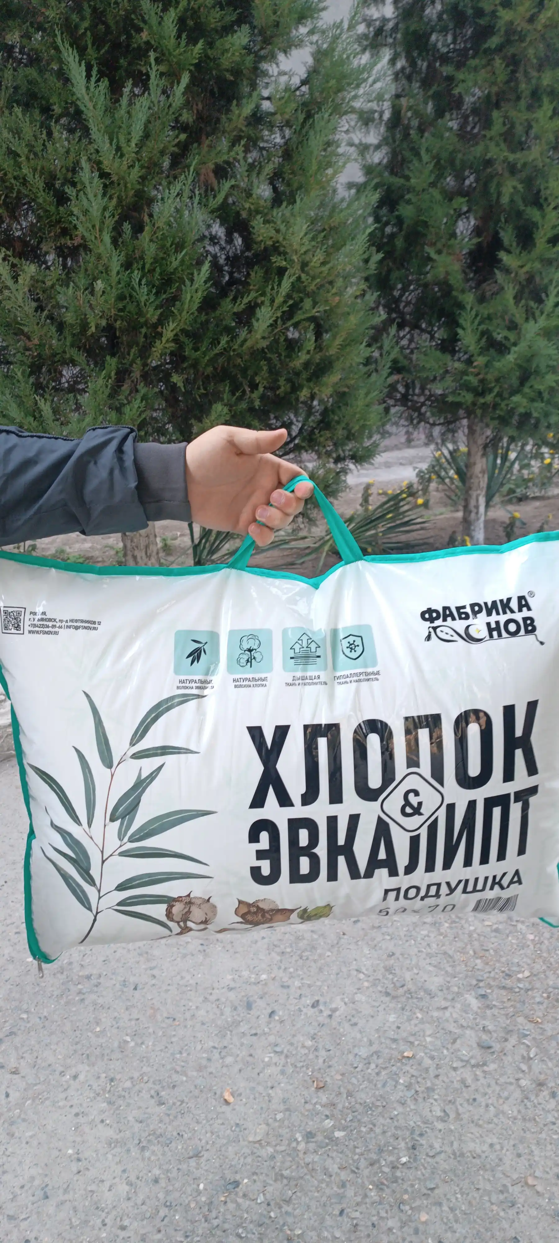 Подушка для сна, гипоаллергенная, эвкалиптовое волокно, "Хлопок & Эвкалипт", 50х70 см