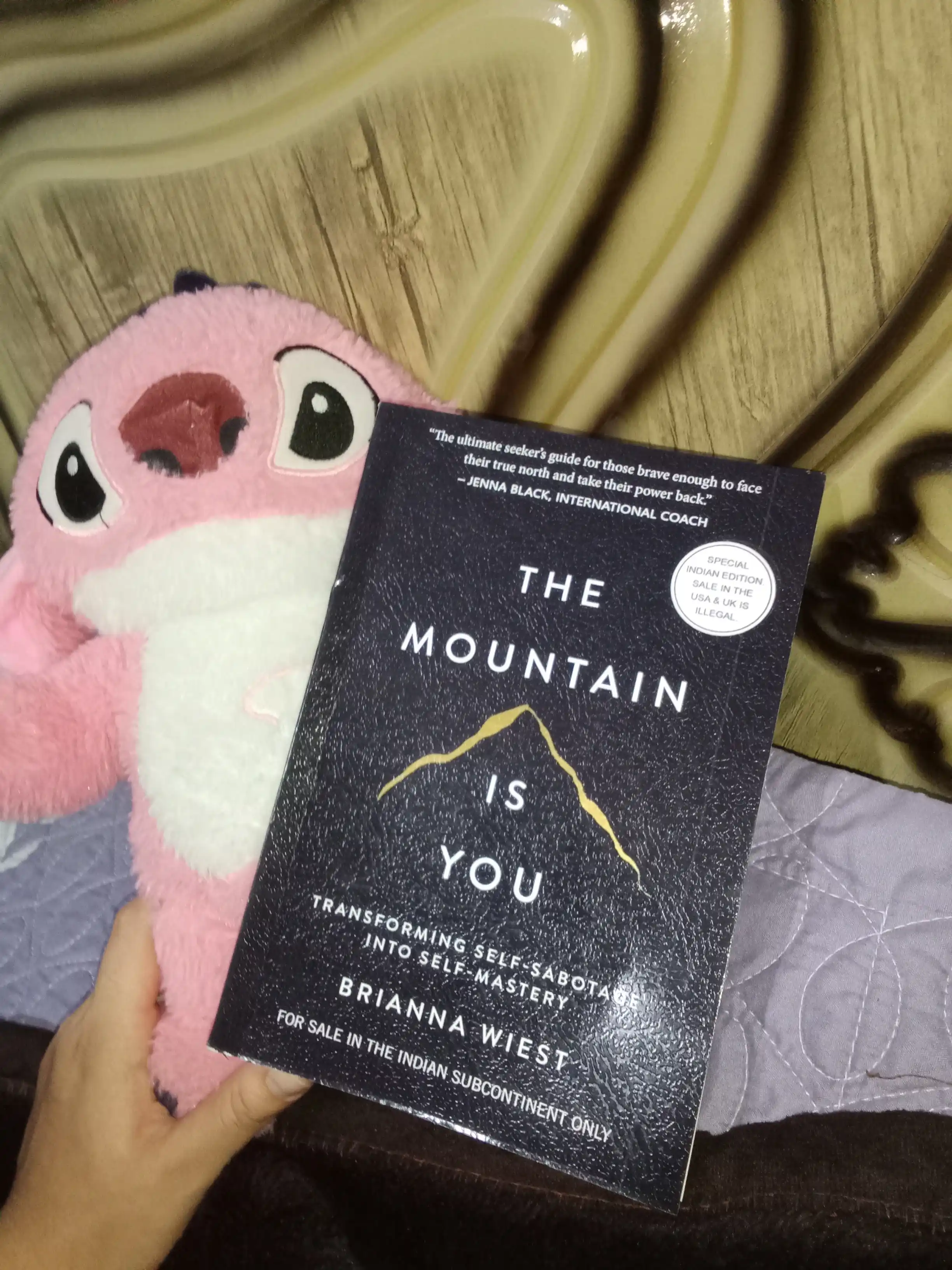 The Mountain is you - Brianna Wiest