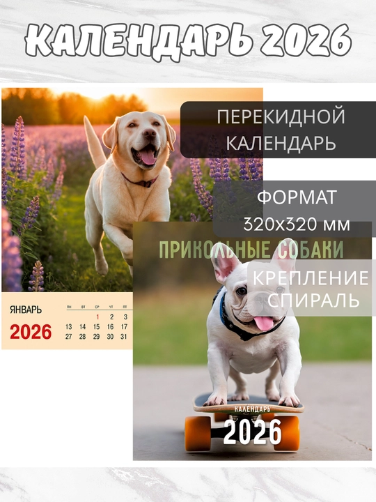 Календарь настенный квадратный 2026 год, 320×320 мм, 6 л., евроспираль с ригелем - 