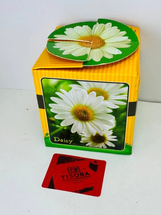 Tisoba gullar o‘stirish to‘plami. “Go‘zallik urug‘dan boshlanadi — Tisoba bilan!” - 