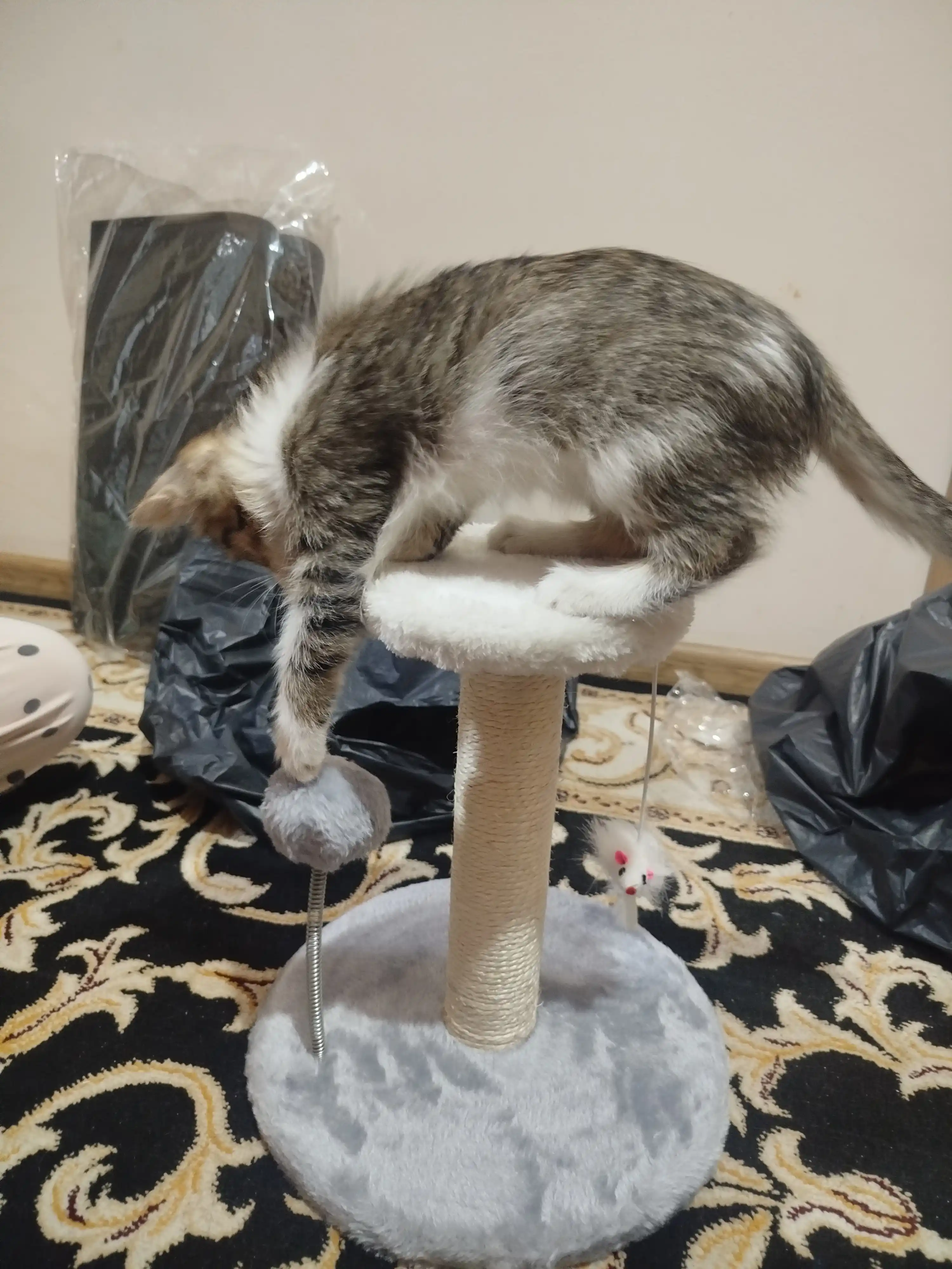 Когтеточка столбик для кошек с игрушкой и полочкой, 22 см