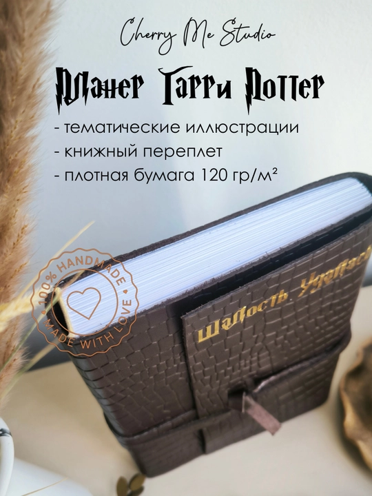 Garri Potter rejalashtirish daftar