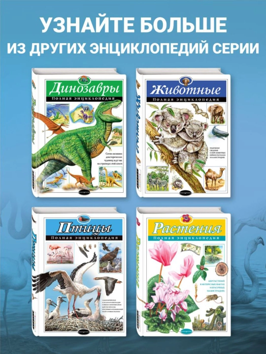 Птицы. Полная энциклопедия