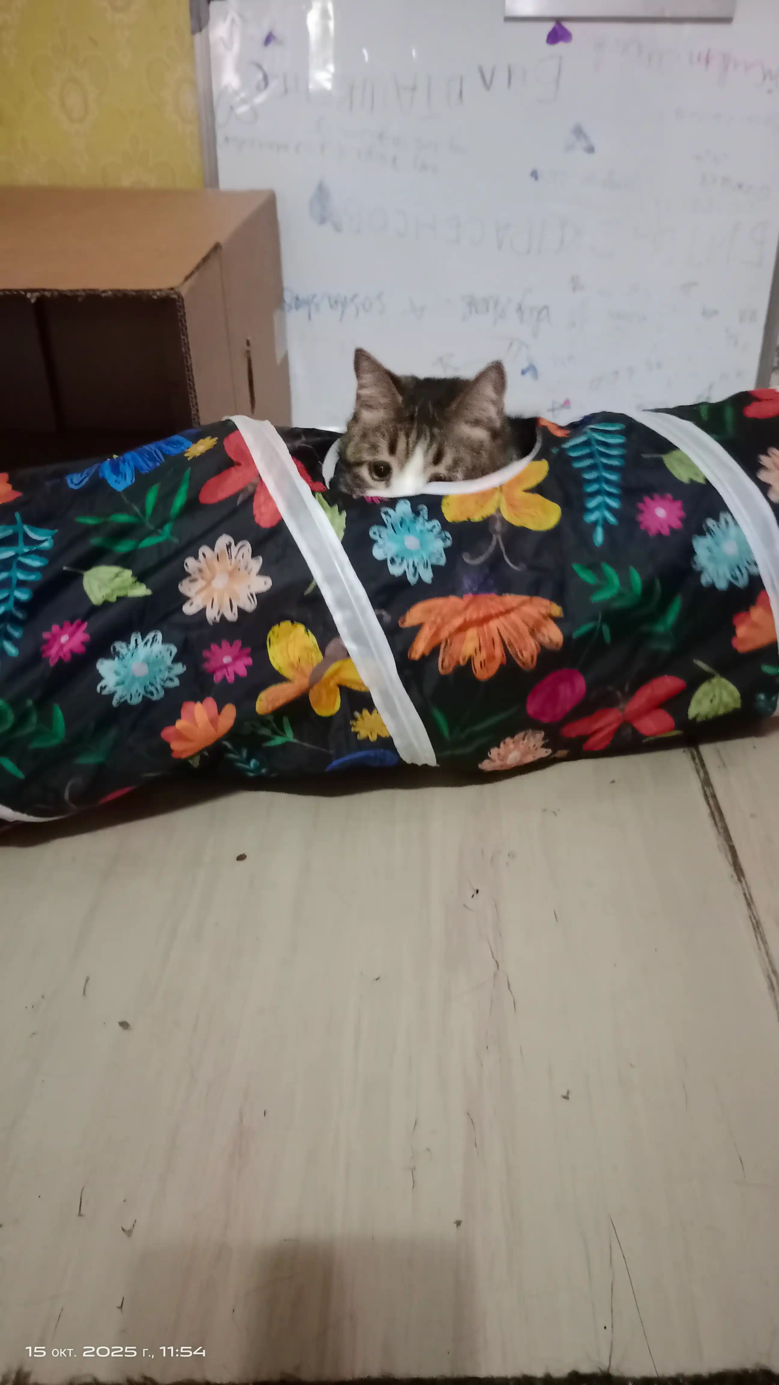 Тоннель шуршащий для кошек, складной лабиринт, игровой комплекс с подвесной игрушкой