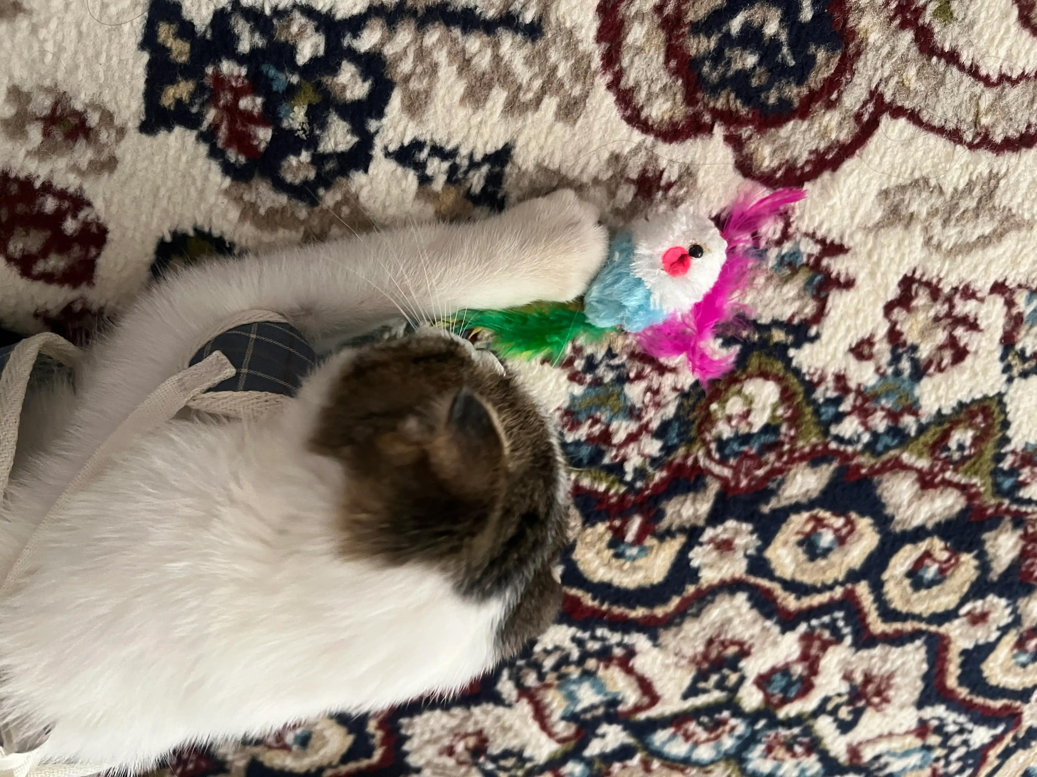 Игрушка для кошек и котят мышка с перьями и бубенчиком