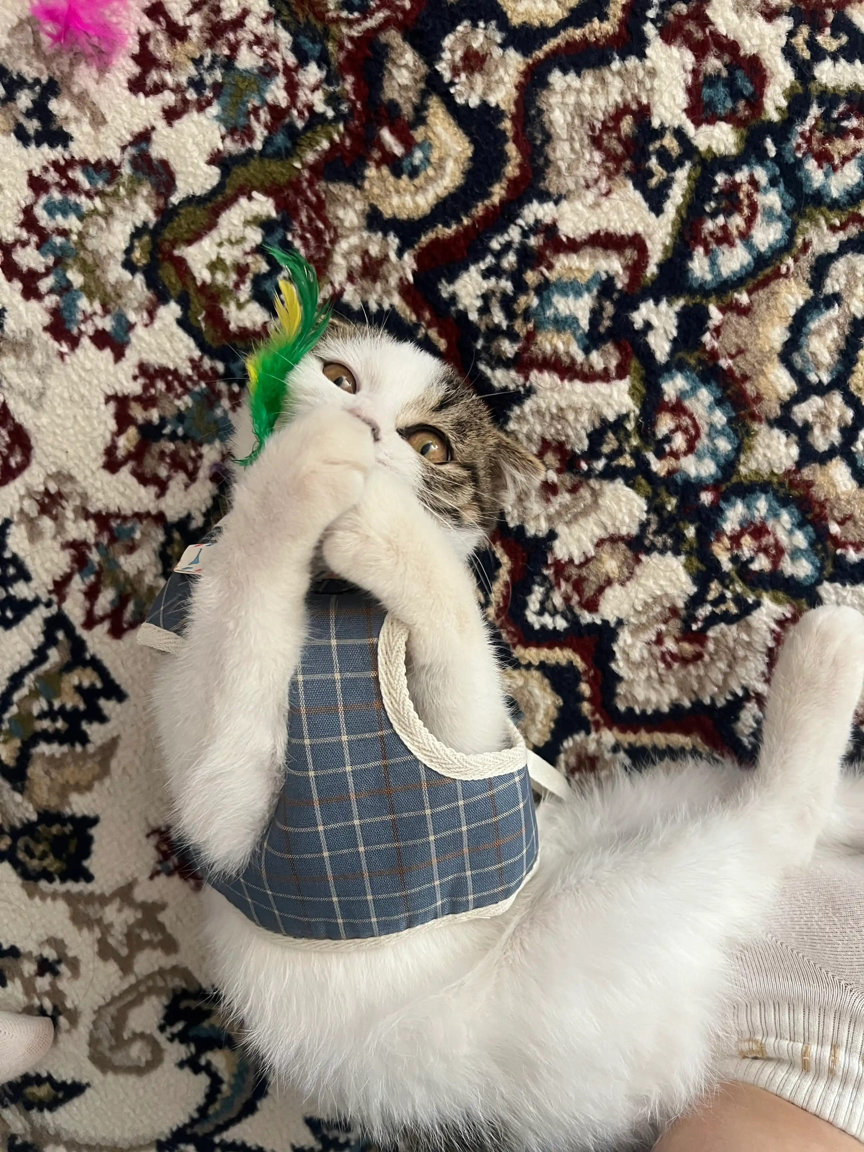 Игрушка для кошек и котят мышка с перьями и бубенчиком