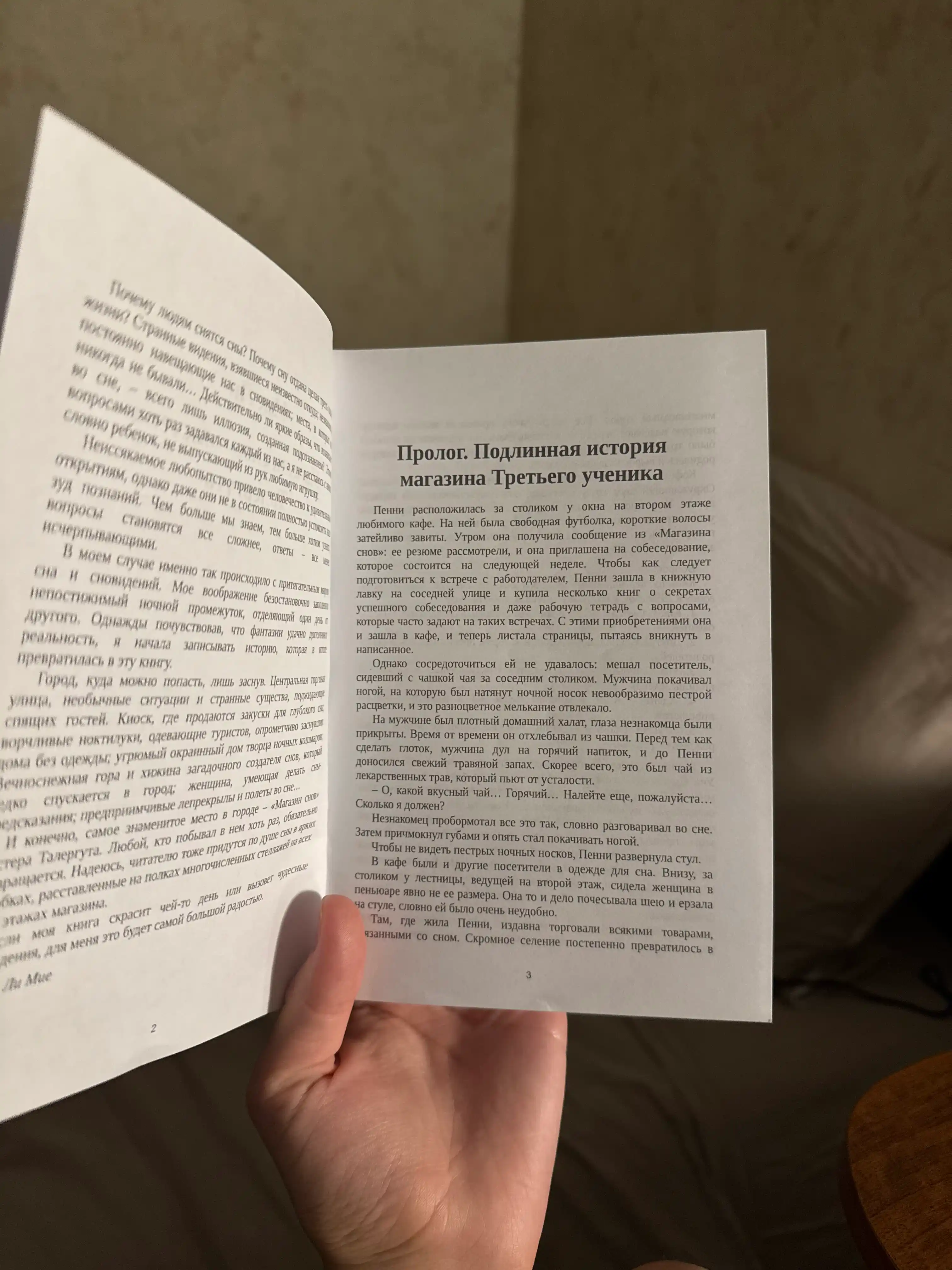 "Magazin snov" mistera Talerguta, Lee Mie