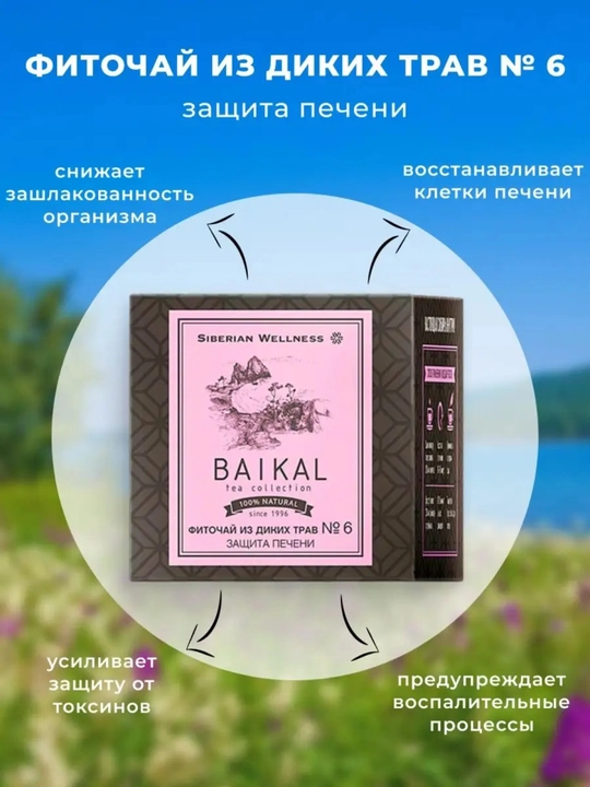 Baikal fitochoy №6– jigarni himoya qilish, yog‘larni parchalaydi va o‘t pufagini tozalaydi - 