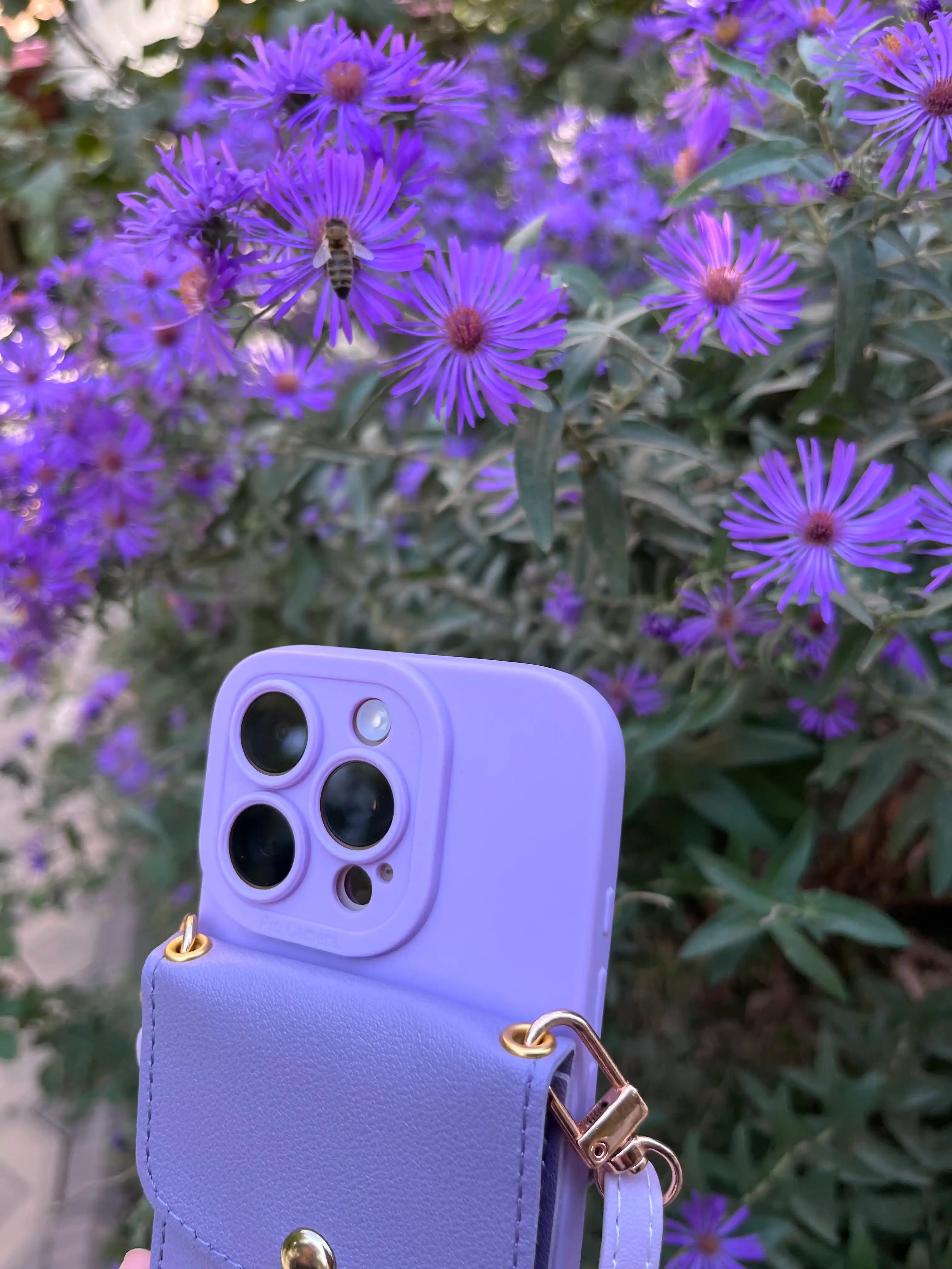 Чехол на iPhone 11, 12, 13, 14, 15, 16,  Pro, Pro Max