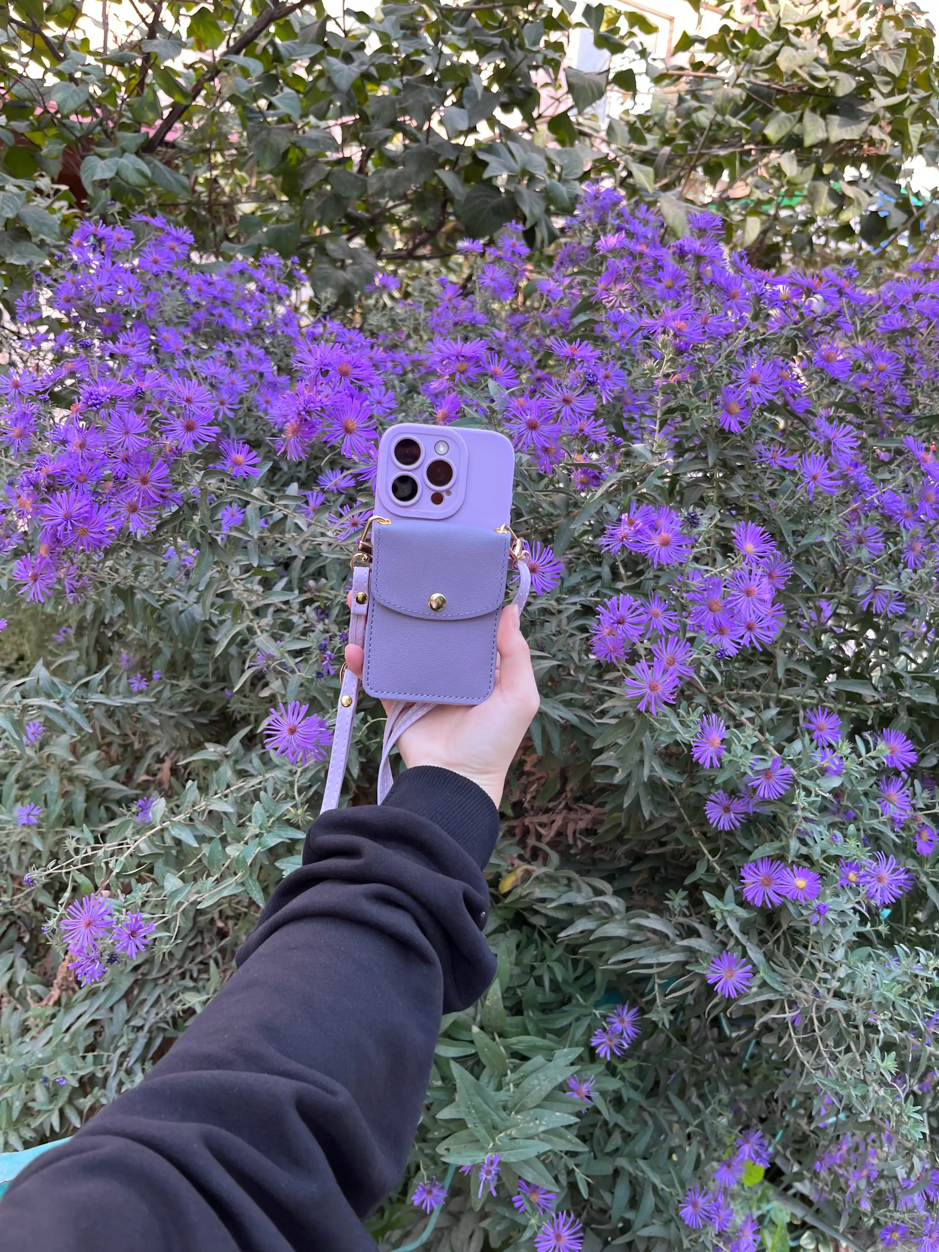 Чехол на iPhone 11, 12, 13, 14, 15, 16,  Pro, Pro Max