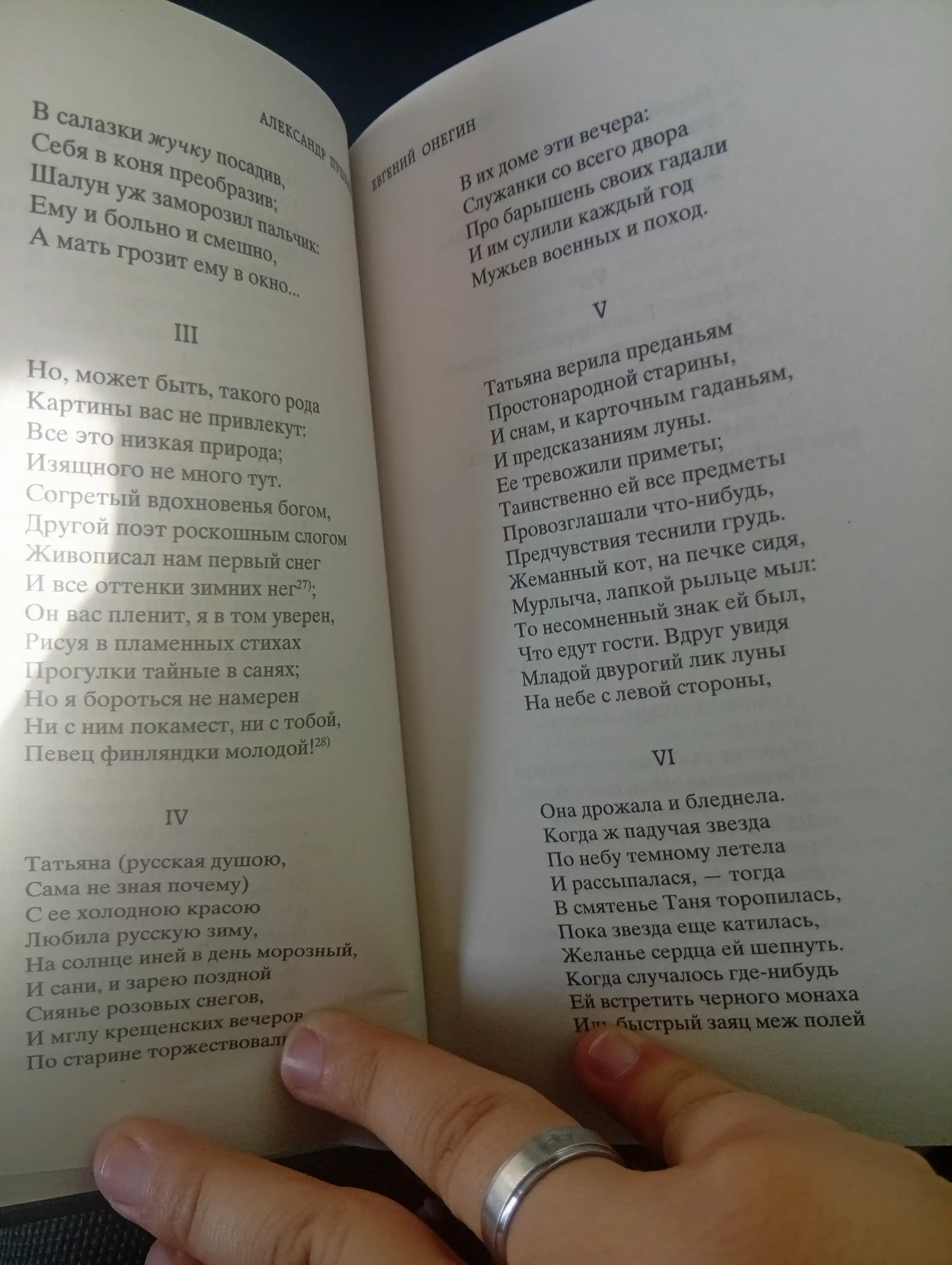 Александр Пушкин-Евгений онегин