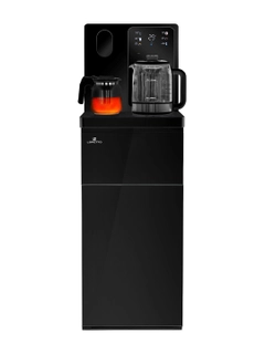 Qora