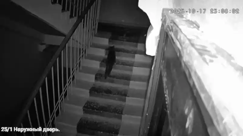 Juft linzali va harakat sensoriga ega Wi-Fi video kuzatuv kamerasi