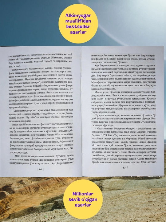 PAULO KOELYO, IXHLOS yoki Beshinchi tog‘, Roman, Portabello jodugari, bestseller