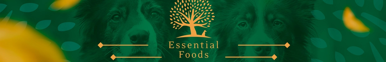 Essential Foods Uzbekistan