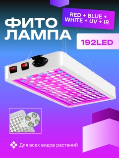 Алый