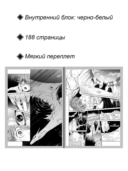 Манга, Обещанный Неверленд, 12 том