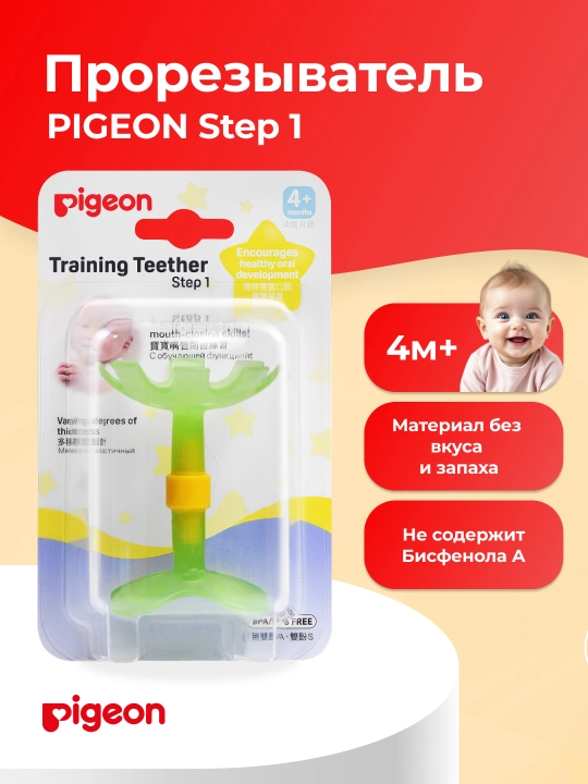 Tishlagich Pigeon Step 1 - 