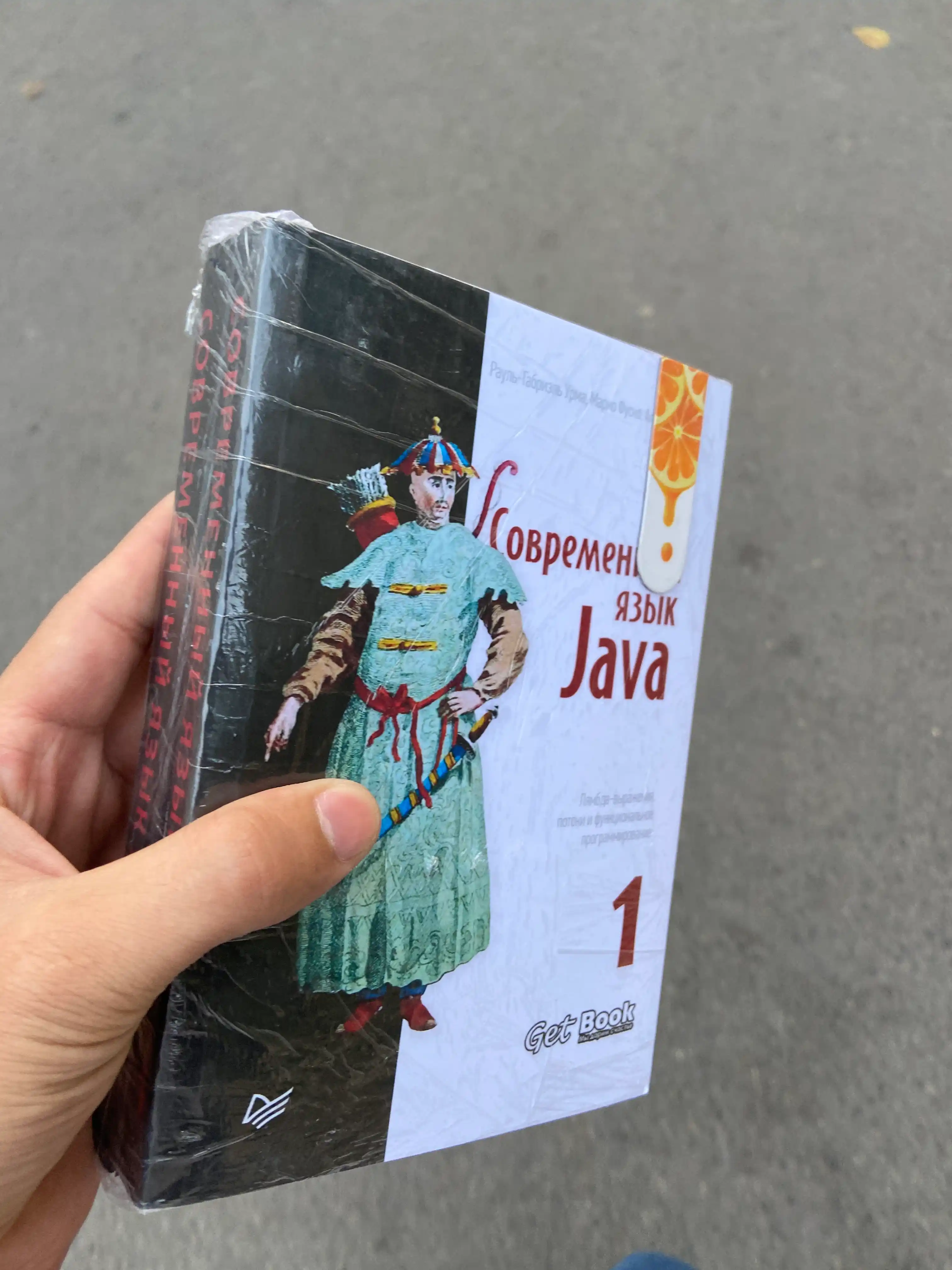 Sovremennyy yazyk Java. Programmirovaniye