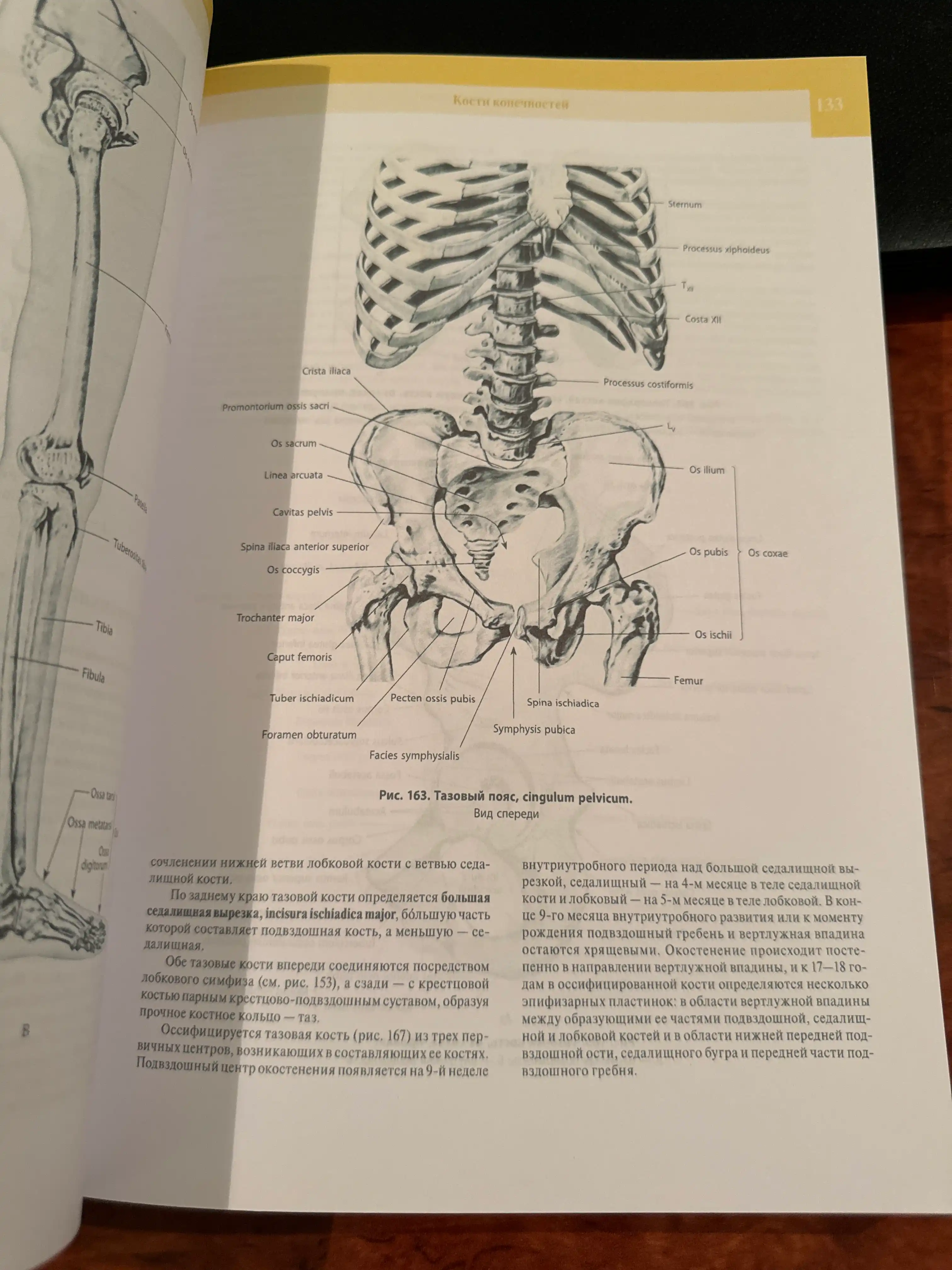 Atlas anatomii cheloveka 1 tom, Sinel'nikov, yangi nashr 2019 yil