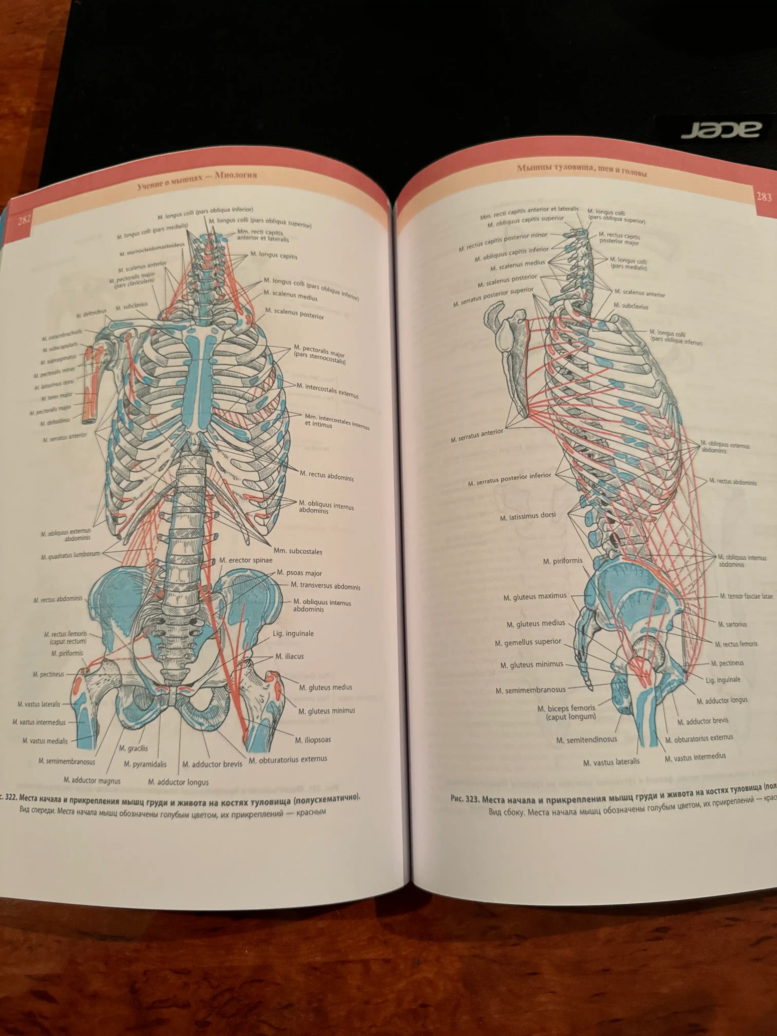 Atlas anatomii cheloveka 1 tom, Sinel'nikov, yangi nashr 2019 yil