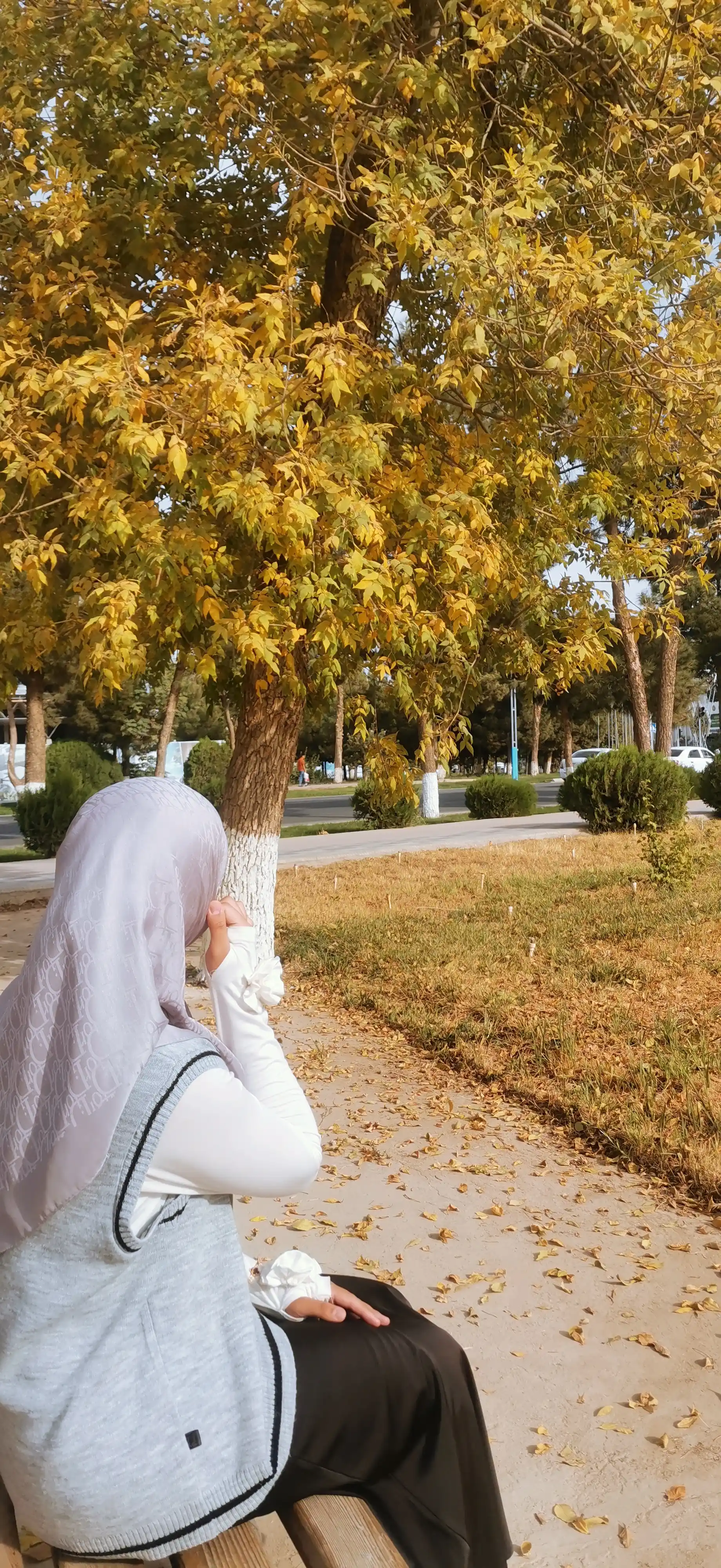 Maktab va o`qish uchun nimcha, jiletka Didov Triko uy, ish, ofis, maktab uchun