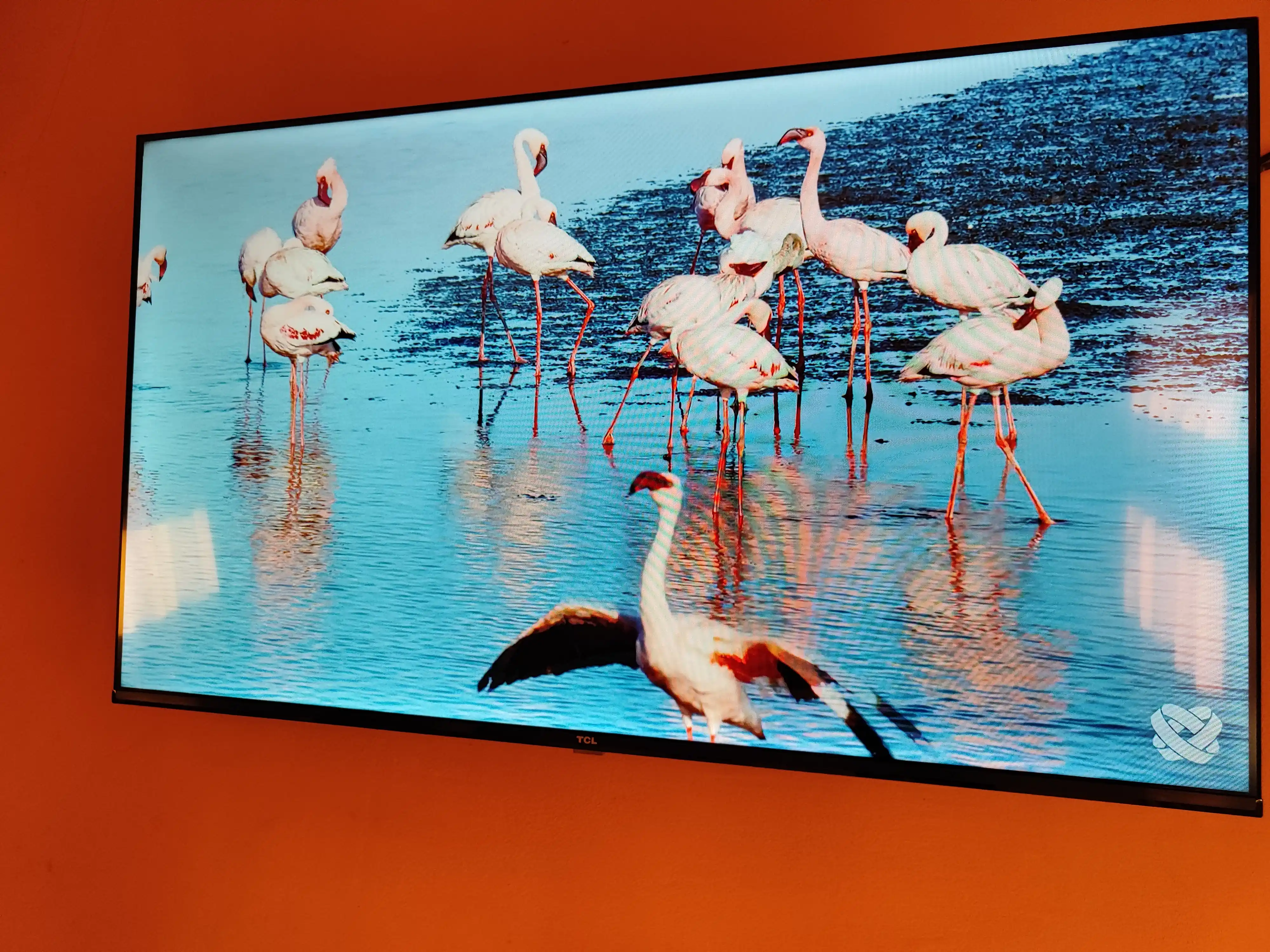 Smart televizor TCL 43" S5400A Full HD, Dolby Audio, HDR 10