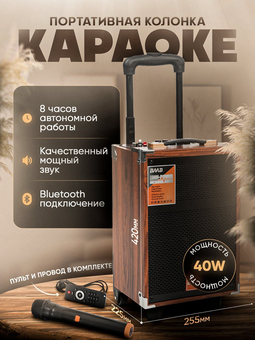 Karaoke Bluetooth kolonka BAAB 8/12 — 2 ta simsiz mikrofon va pult bilan, kuchli ovoz - 