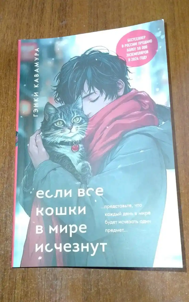 Если все кошки в мире исчезнут, Гэнки Кавамура