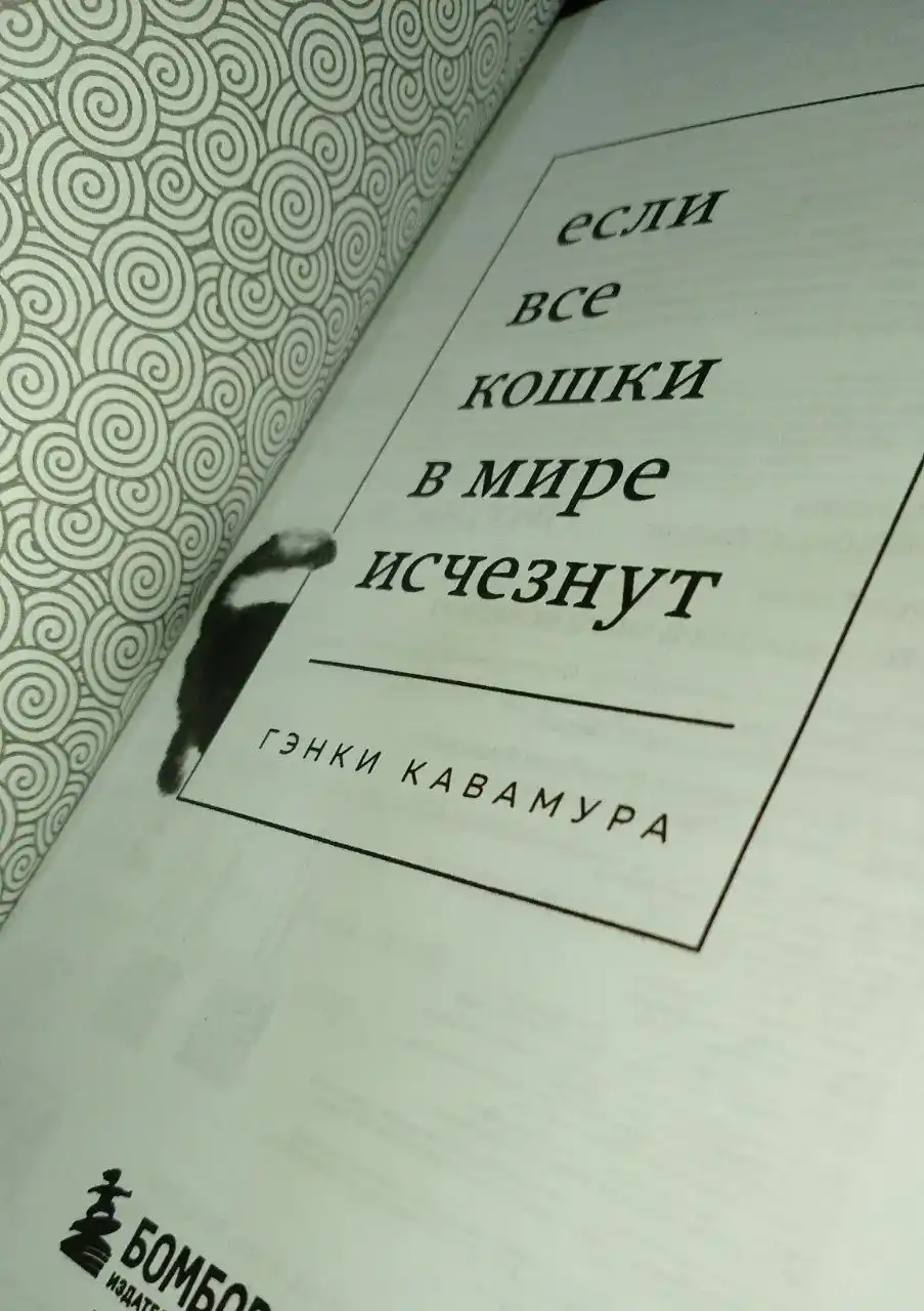 Если все кошки в мире исчезнут, Гэнки Кавамура