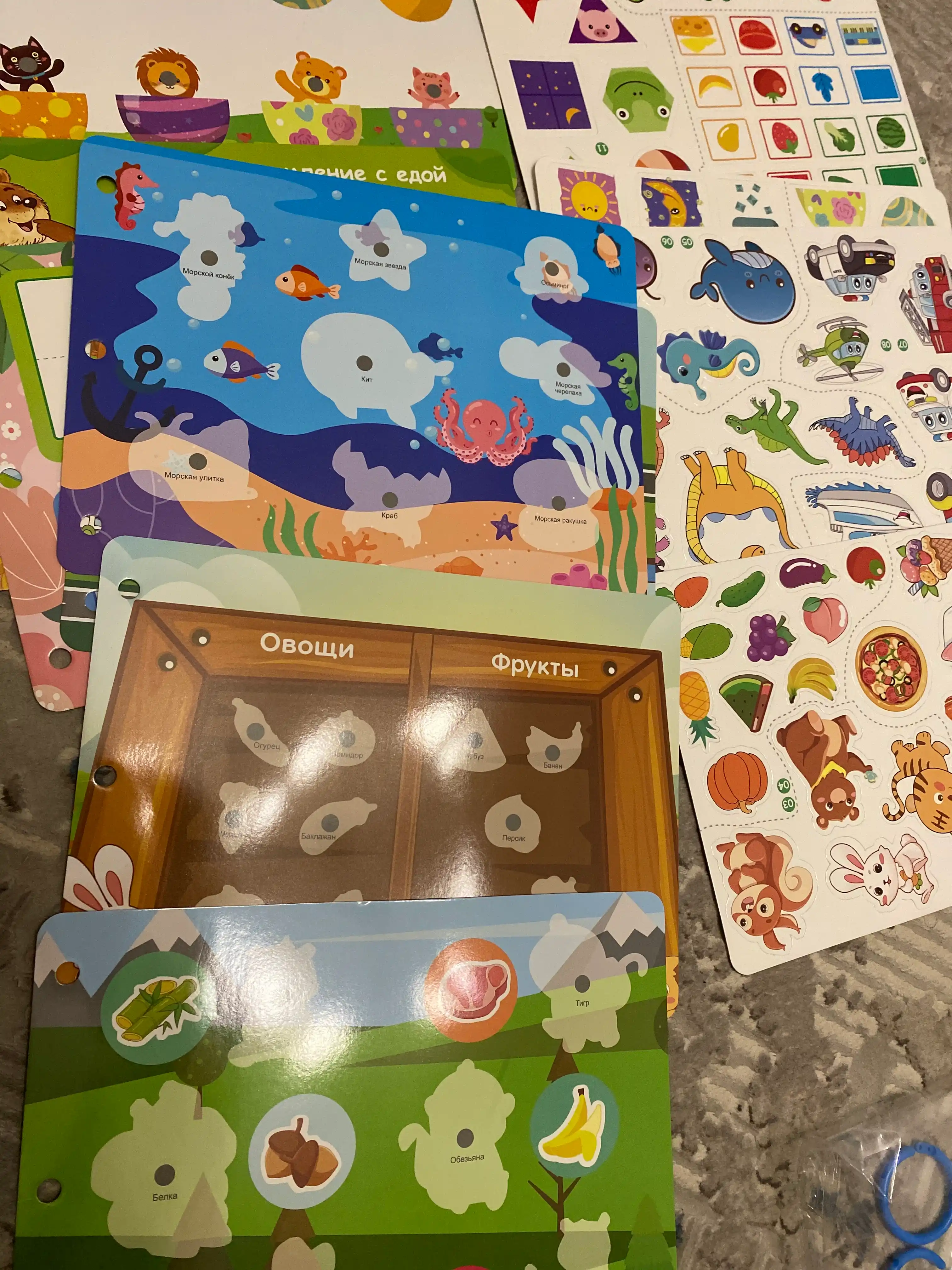 Busybook, rivojlantruvchi kitob, Montessori kitobi