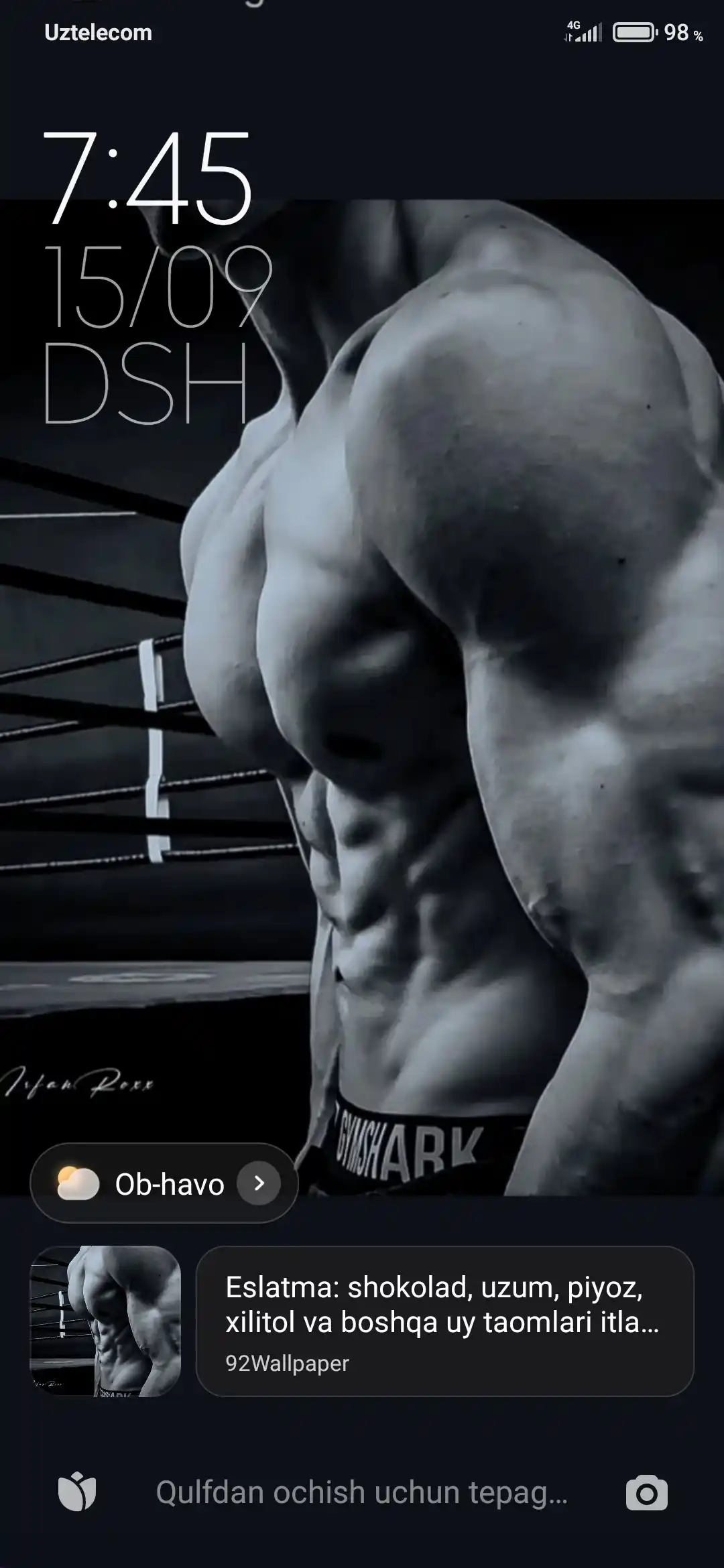 YAVA LABS CREATINE kukun, kapsula, mazza qo'shilgan