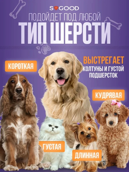 It va mushuklarni qirqish, gruming, hayvonlar uchun sartarosh