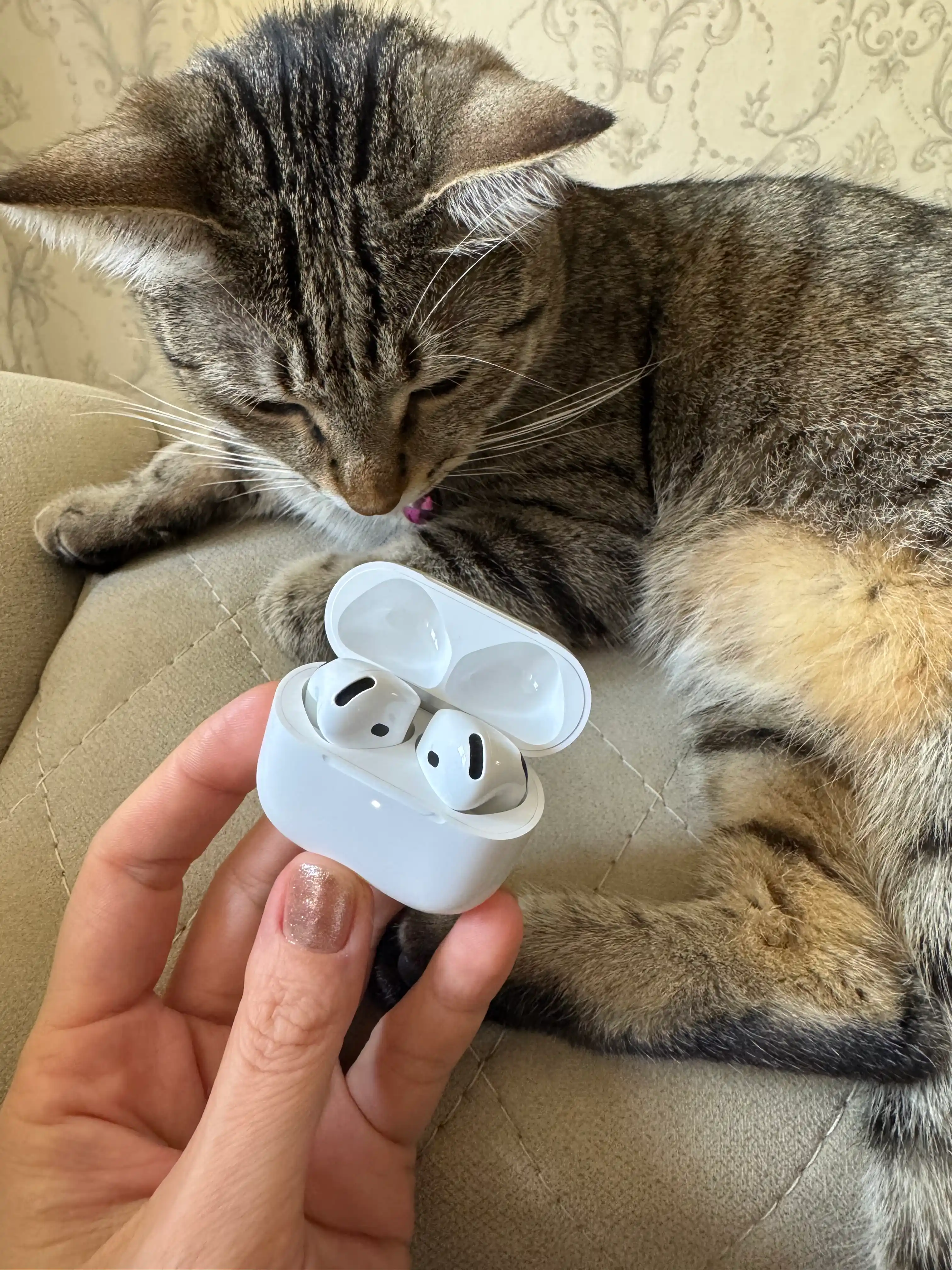 Simsiz quloqchinlar Apple AirPods 4 (2024) original