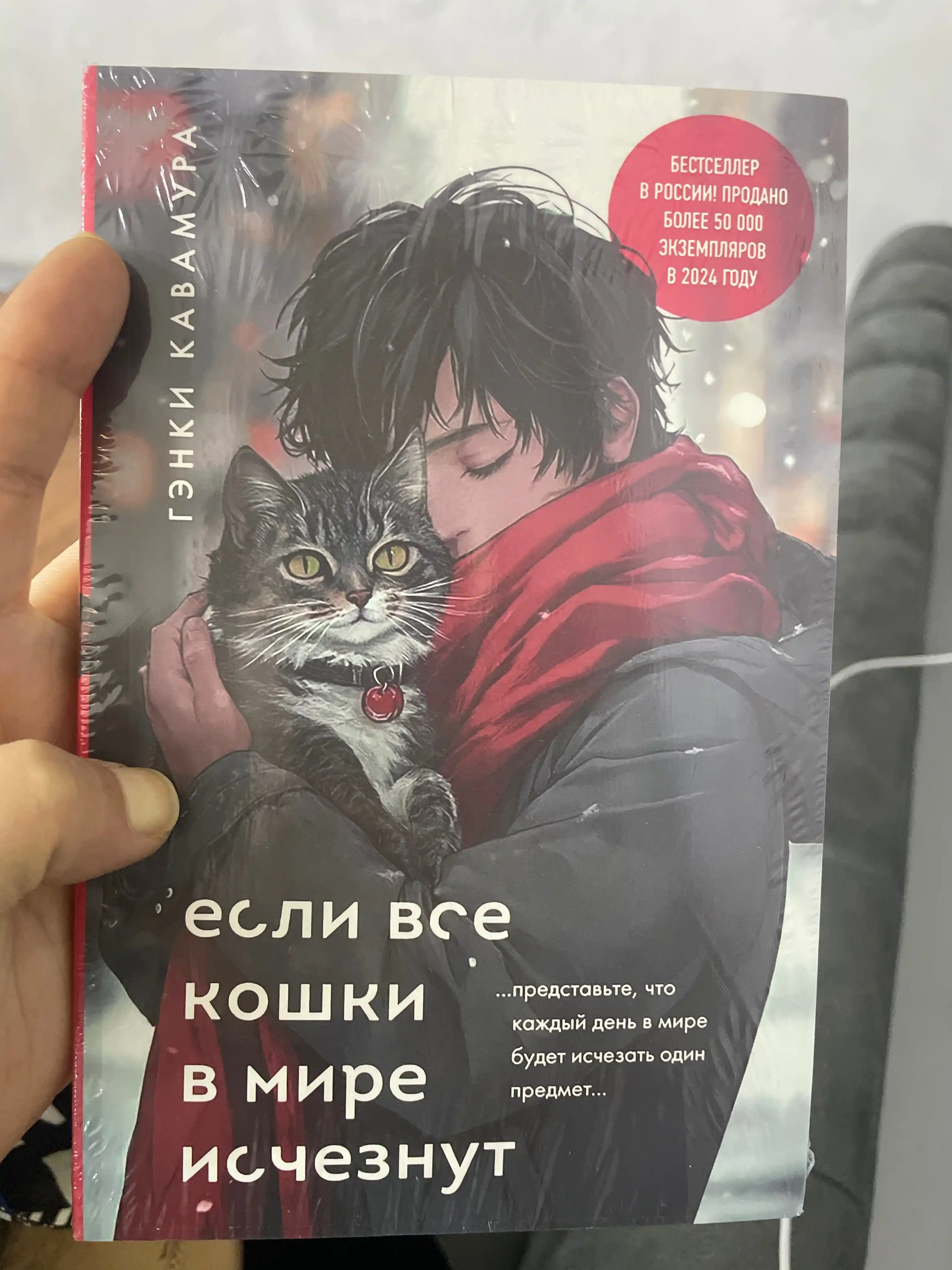 Если все кошки в мире исчезнут, Гэнки Кавамура