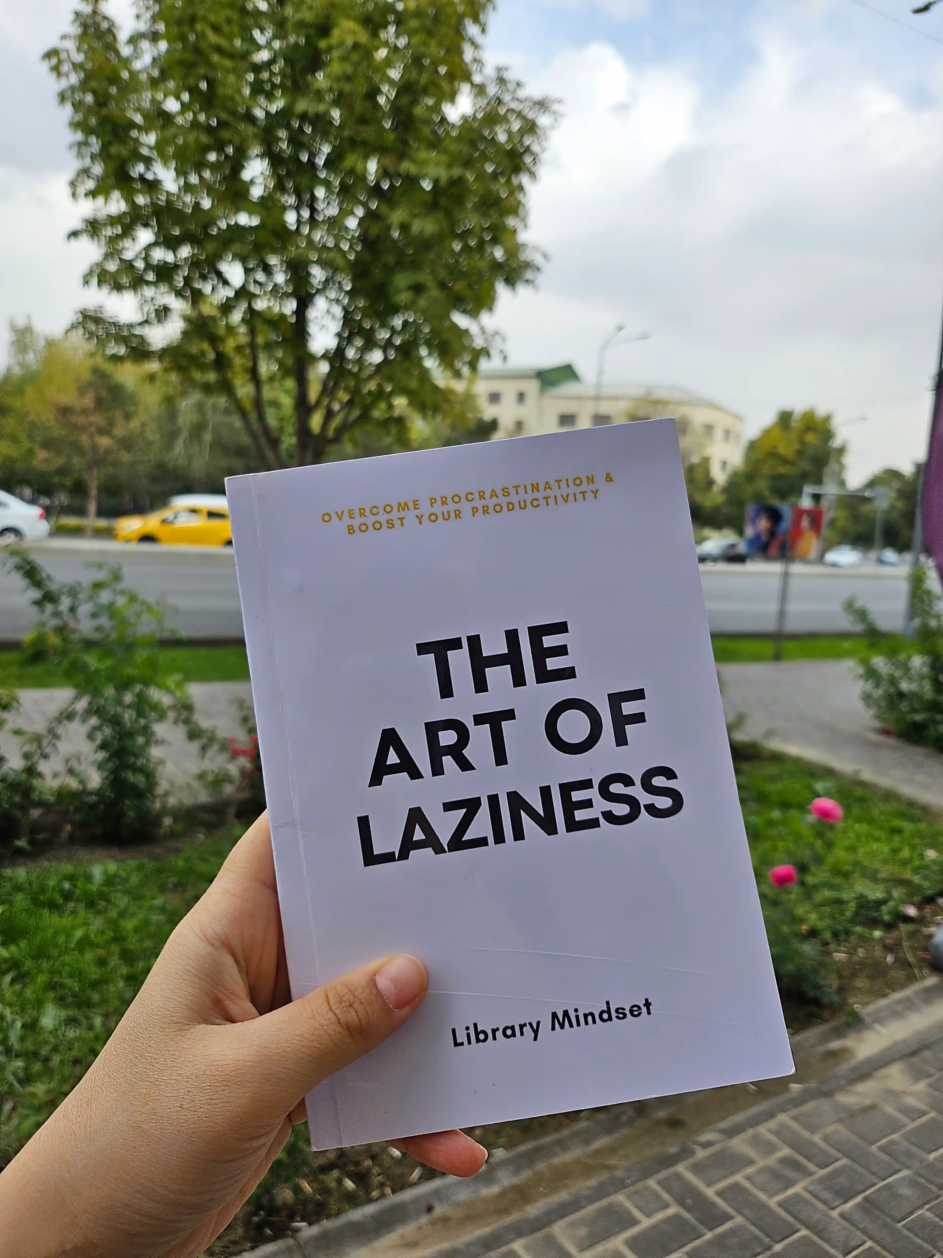 The art of laziness. Library Mindset