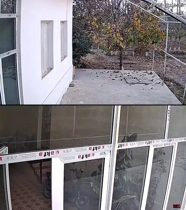 Kuzatuv kamerasi V 380 pro programmada ishlaydi