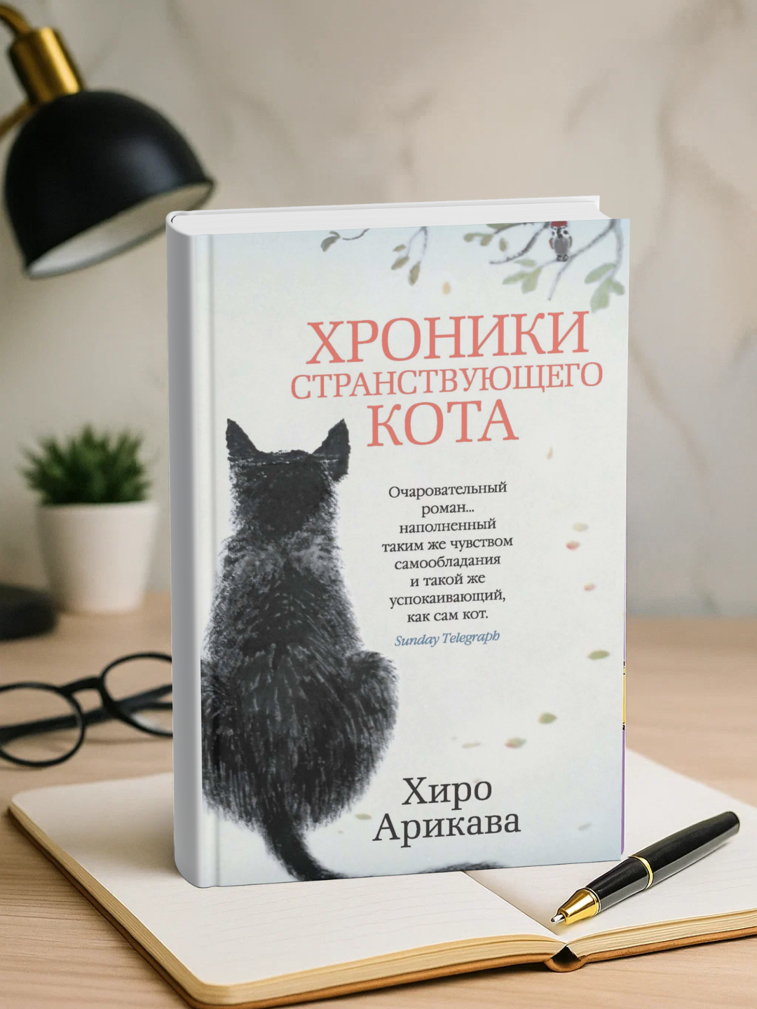 Khroniki stranstvuyushchego kota, Arikava Khiro - 