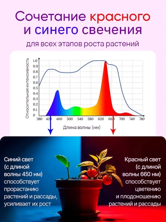 Фитолампа полного спектра. Поворотная. Цоколь E27, 240 LED, 48Вт, SMD 2835, Red + Blue