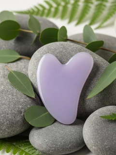 Lavanda