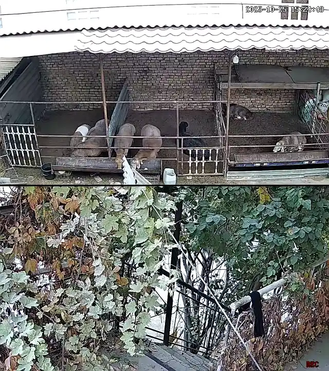 Wi-Fi камера видеонаблюдения с ночным видением, поворотом 360, датчиком движения