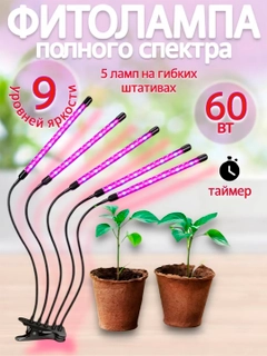 Голубой