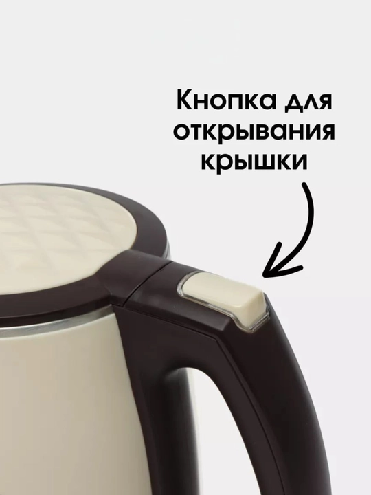Elektr choynak